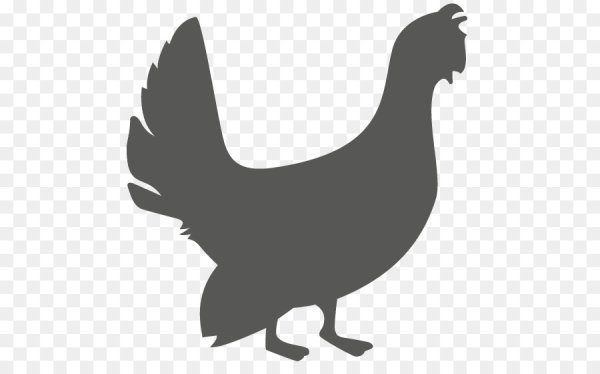 Контур тетерева