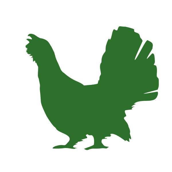 Силуэт тетерева