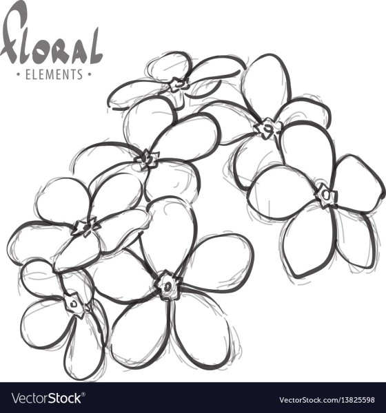 Незабудка контур