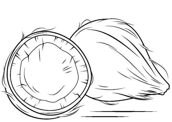 Кокос раскраска