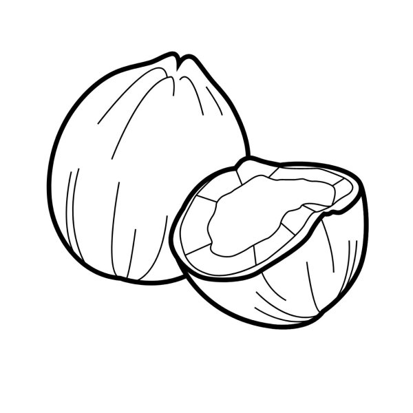 Раскраска фрукты Кокос