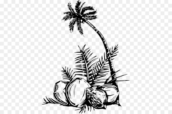 Кокос эскиз