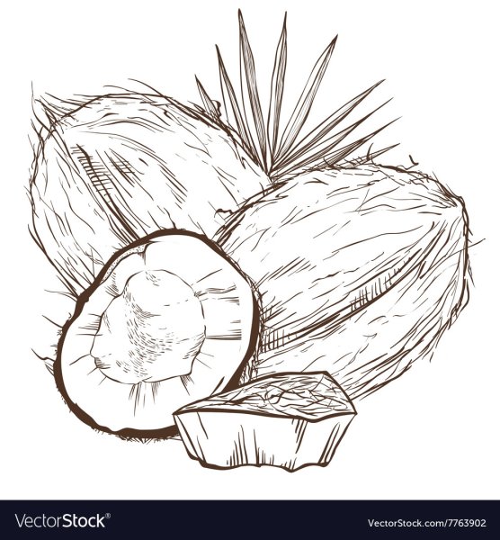 Кокос распечатка