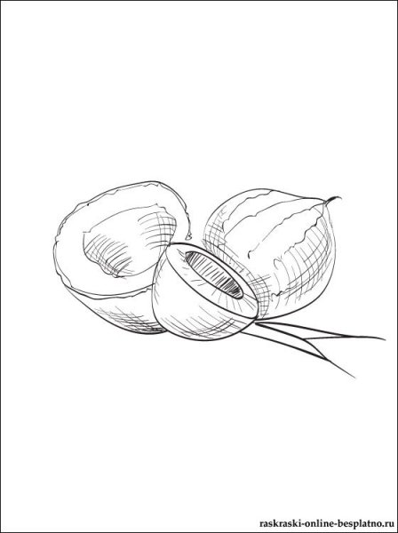 Кокос Графика