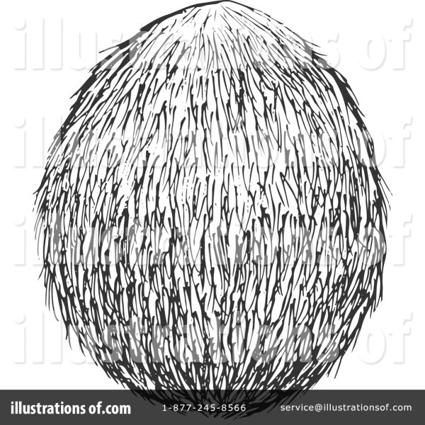 Кокос вектор