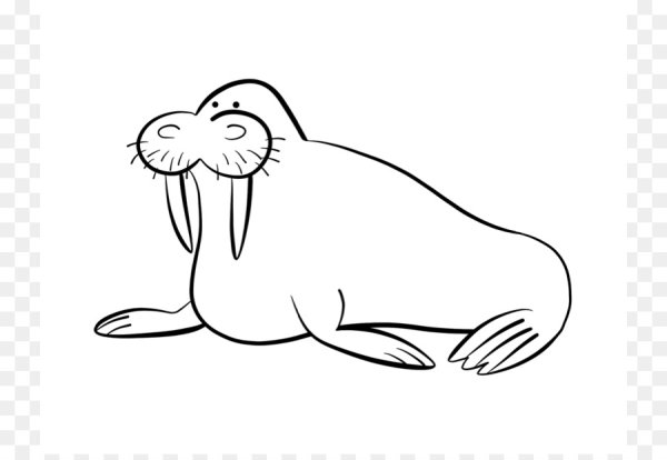 Морской Лев раскраска для детей