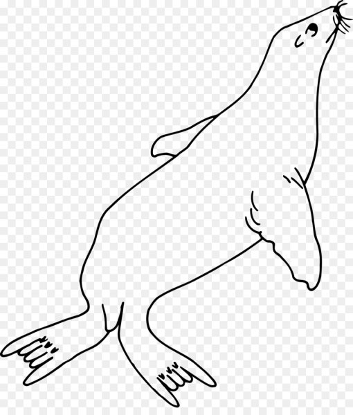 Кон7туры животных севера