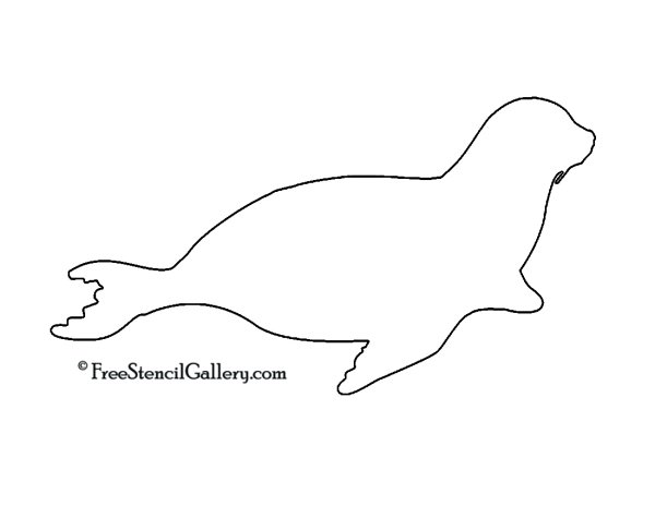 Морской котик раскраска для детей