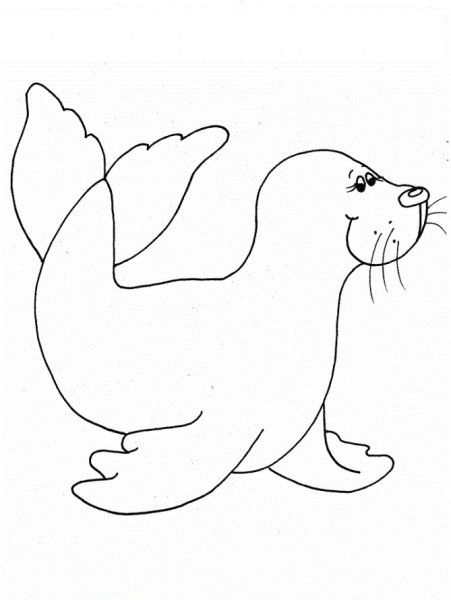 Раскраски Нерпа Байкала для детей