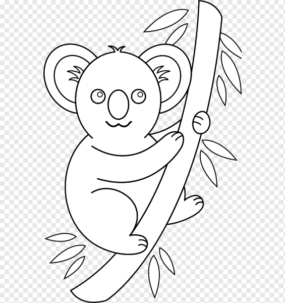 Коала контур