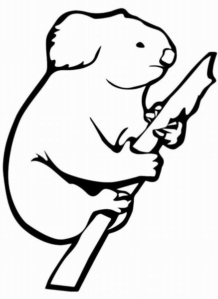 Раскраска мишка коала