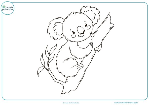 Раскраски маленькие коалы