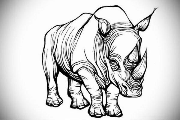Носорог рисунок