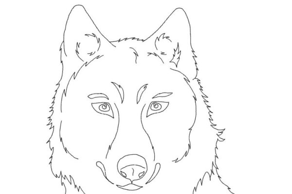 Раскраски животные волк