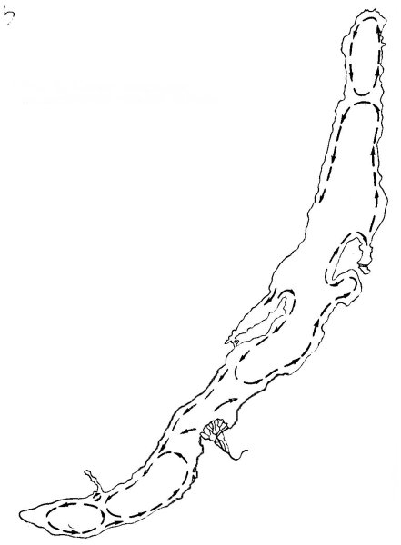 Байкал рисунок контур