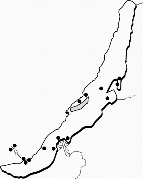 Контуры Байкала для печати
