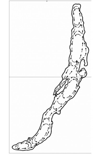 Река и лес силуэт