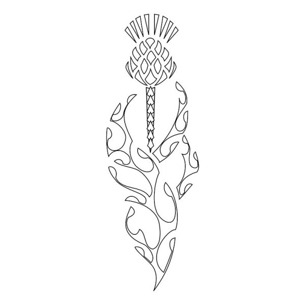 Чертополох Славянский символ