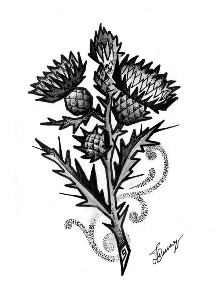 Альпийский чертополох