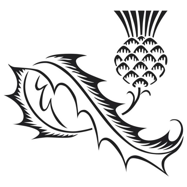 Чертополох стилизация