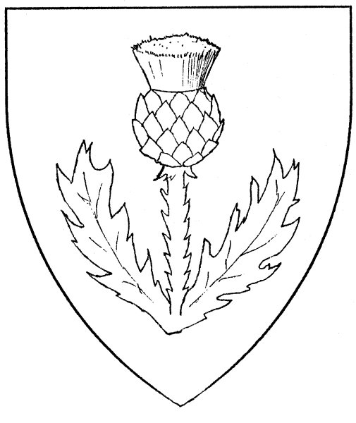 Чертополох раскраска Шотландия