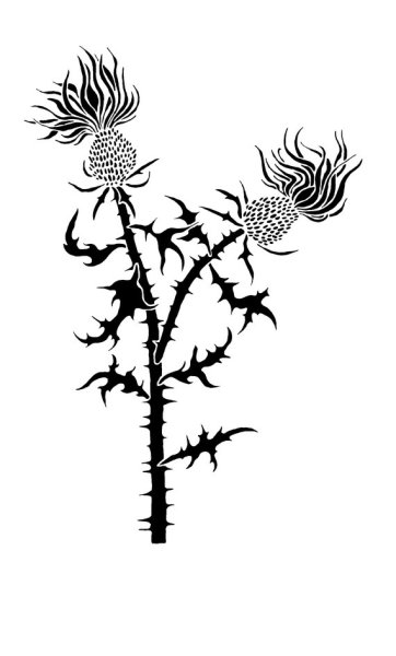 Стилизованный колючий татарник