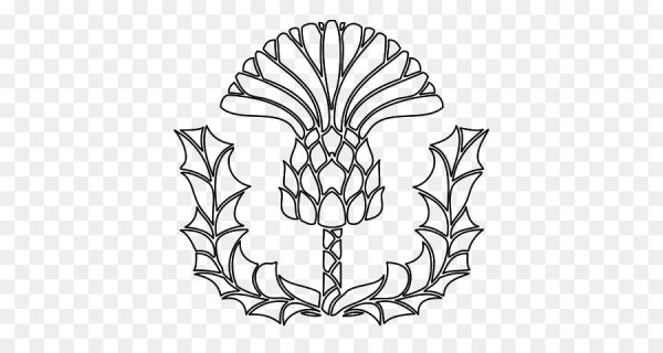 Чертополох символ Шотландии рисунок