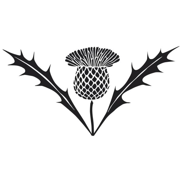 Стилизованный чертополох