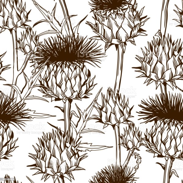 Чертополох паттерн