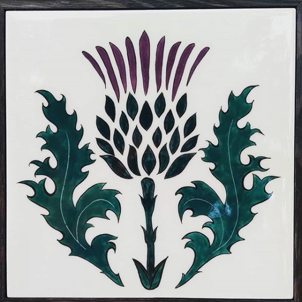 Чертополох растения стилизация