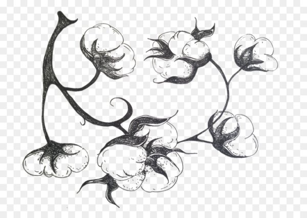 Хлопок цветок