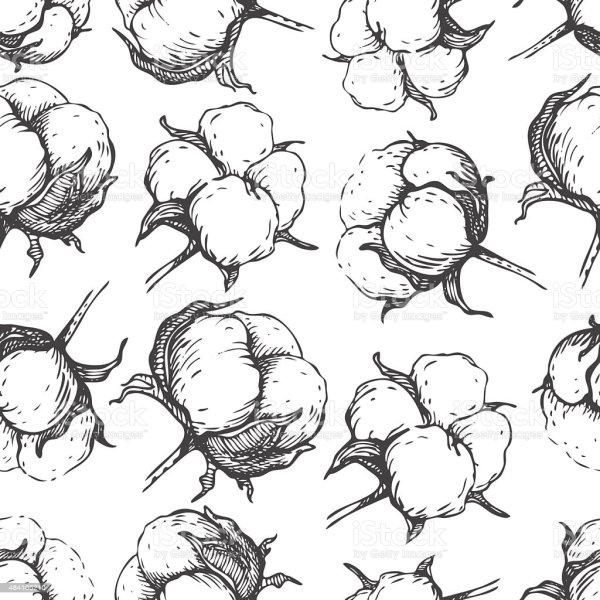 Хлопок эскиз векторный