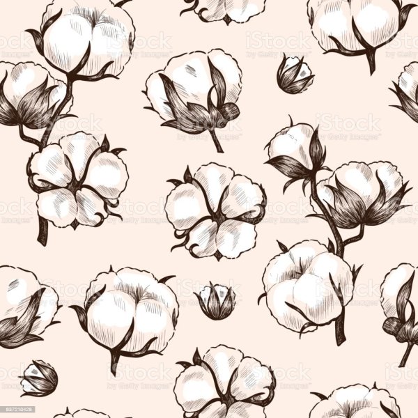 Хлопок цветок Графика