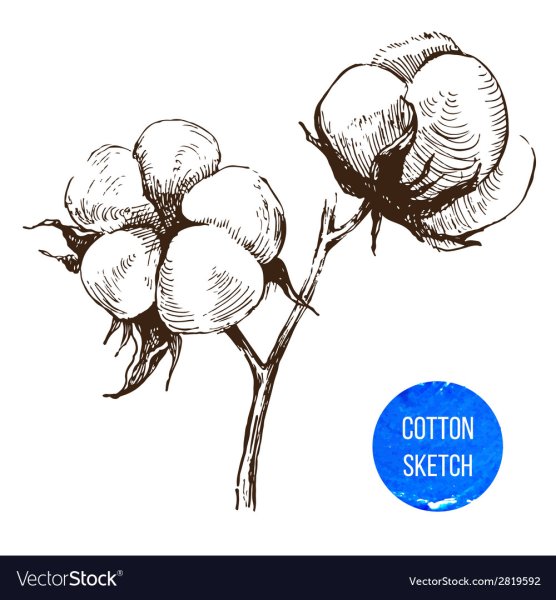 Хлопок эскиз