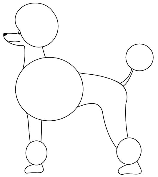 Пудель раскраска для детей