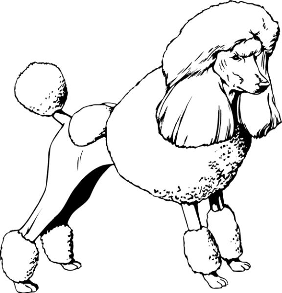 Раскраска пудель Артемон