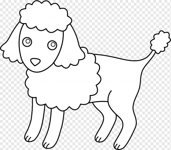 Раскраска пудель