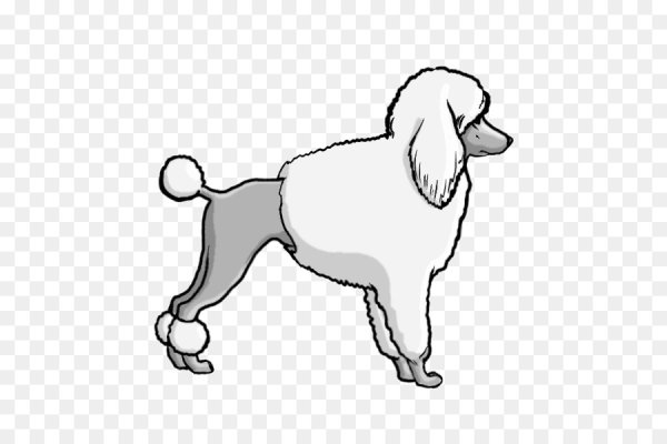 Белый пудель срисовать