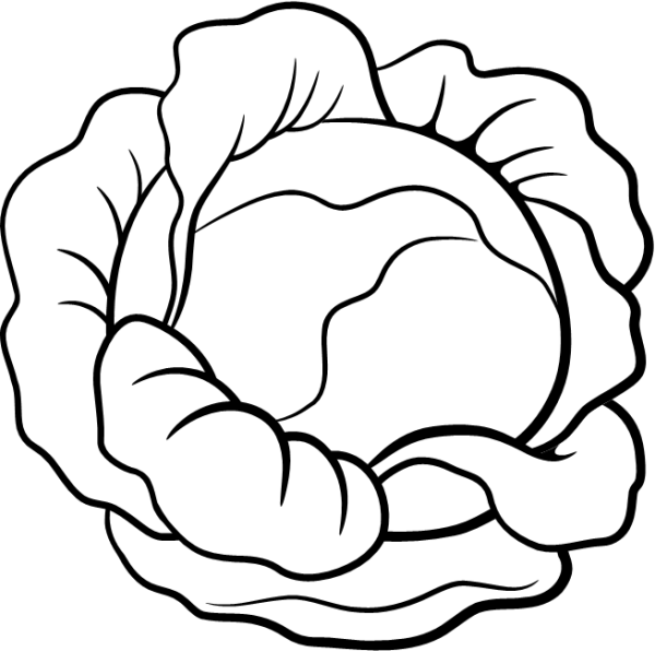 Капуста раскраска для детей