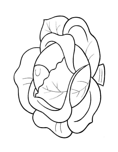 Капуста стилизация