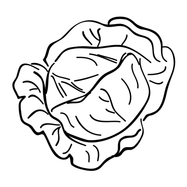 Капуста раскраска