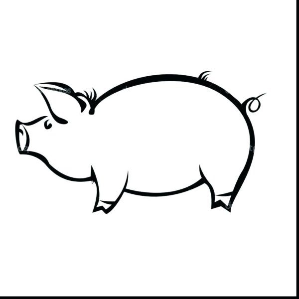 Поросенок контур