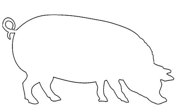 Свинья контур