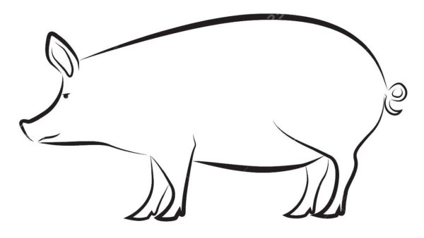 Шаблон свиньи