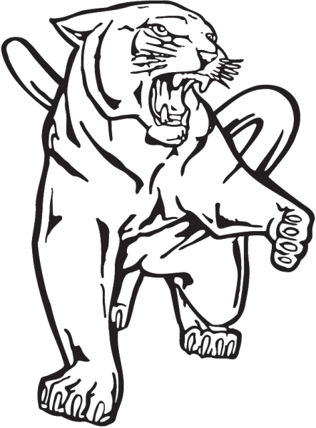 Пантера контур