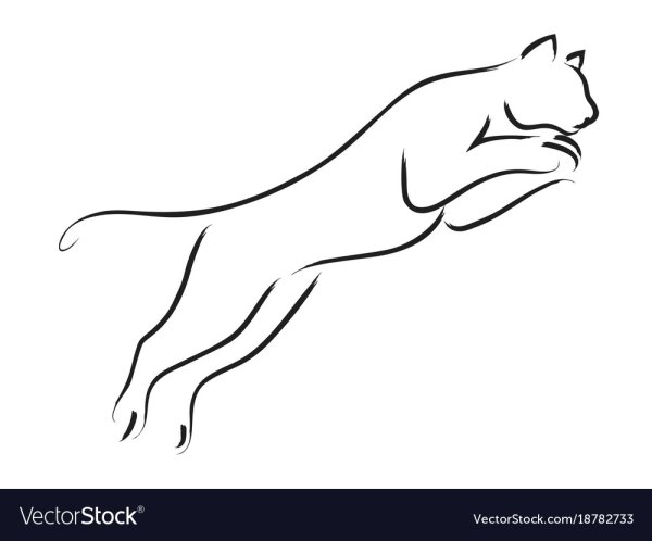 Пума одной линией