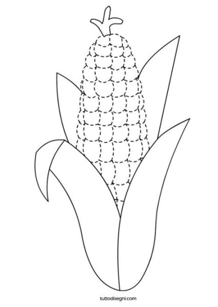 Кукуруза контурный рисунок (61 фото) » Рисунки для срисовки и не только