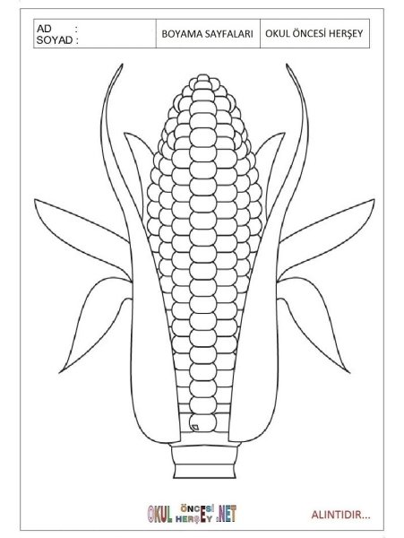 Кукуруза початок силуэт