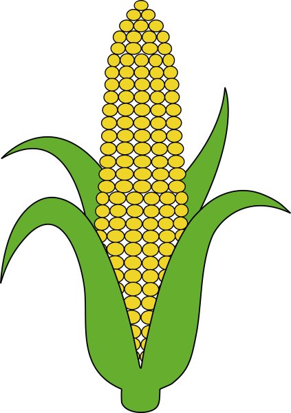 Кукуруза контур
