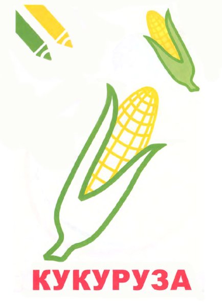 Кукуруза скетч